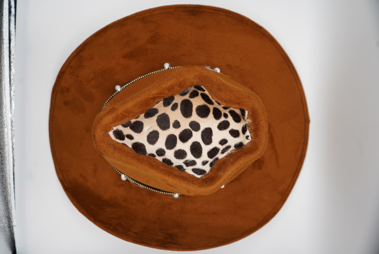 Croc Doc cheetah